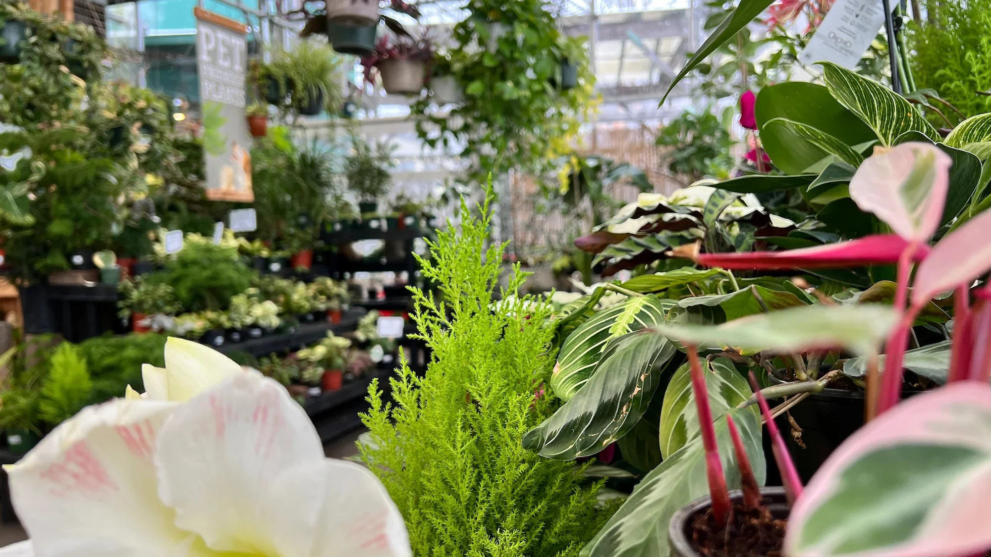 Cultivate Your Best Garden Ever